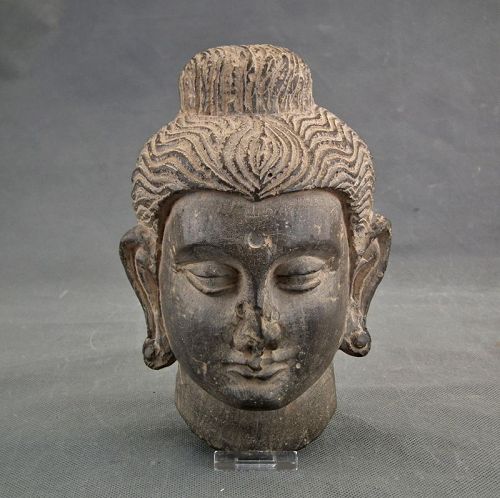 Ancient 3rd century Schist Stone Buddha Head Gandhara Kushan Empire