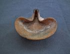 Ancient Holy Land First Temple King David Period Terracotta Oil lamp