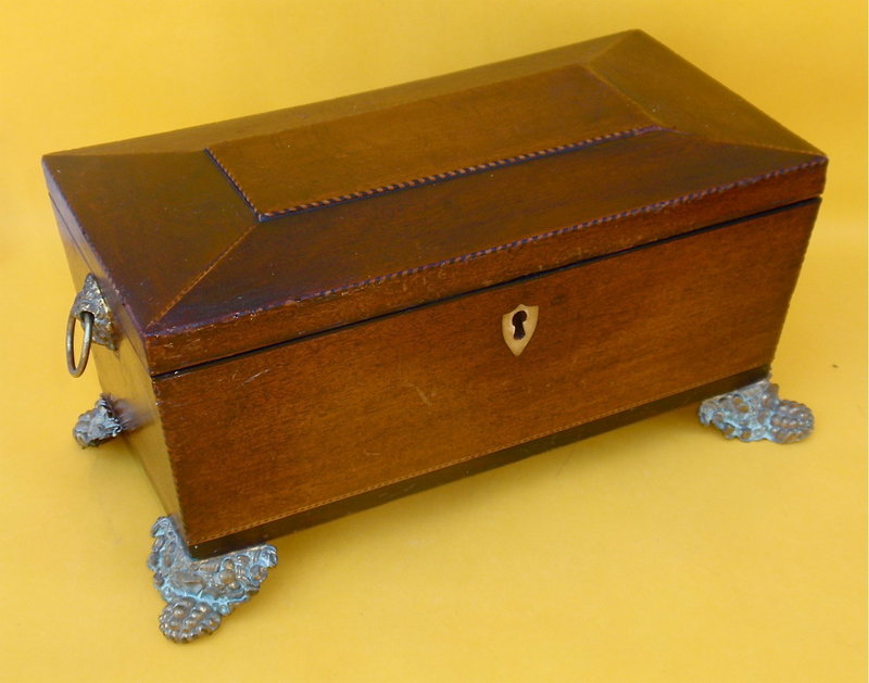 English Antique Regency Mahogany tea caddy c.1830