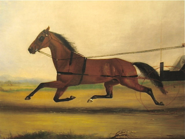 Trotter Horse gentleman and wagon Van Zandt 1872