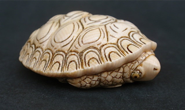 Japanese ivory netsuke turtle artist signed