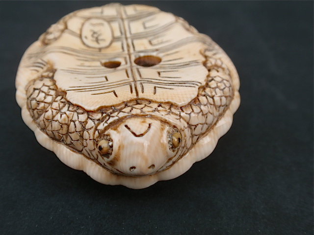 Japanese ivory netsuke turtle artist signed