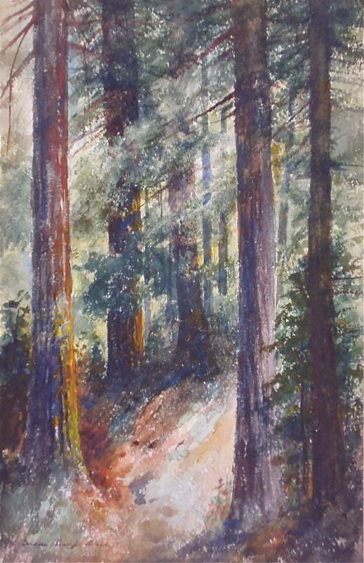 California Redwoods Susan S. Loosley arts crafts c.1900