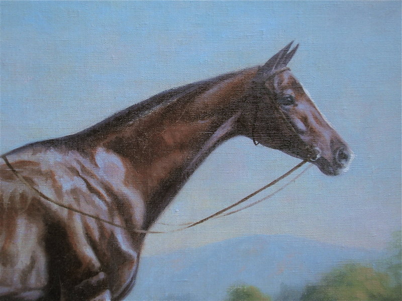 Portrait of a Thoroughbred Horse Thad Leland