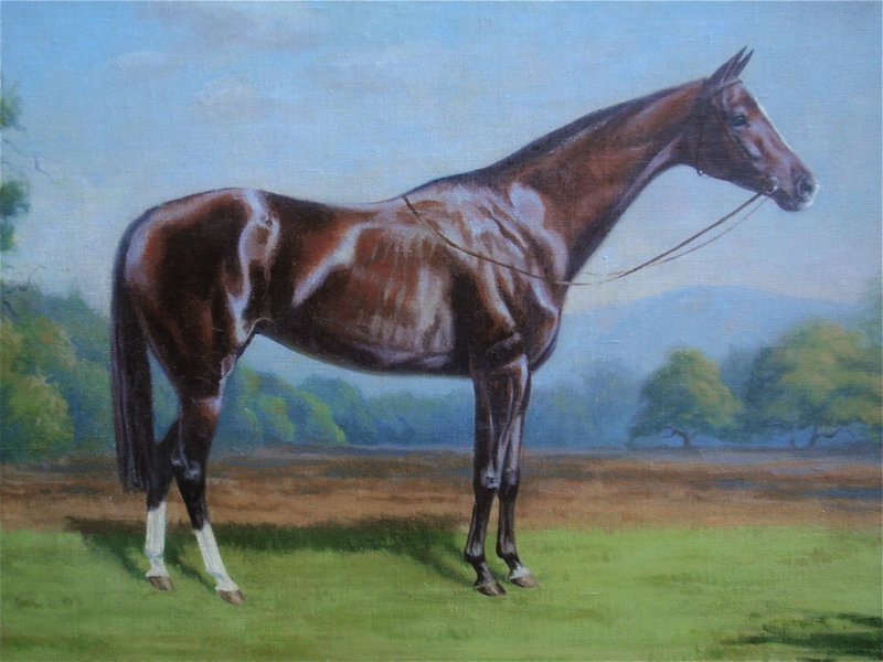 Portrait of a Thoroughbred Horse Thad Leland
