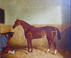 Portrait of a Horse in Stable with dog