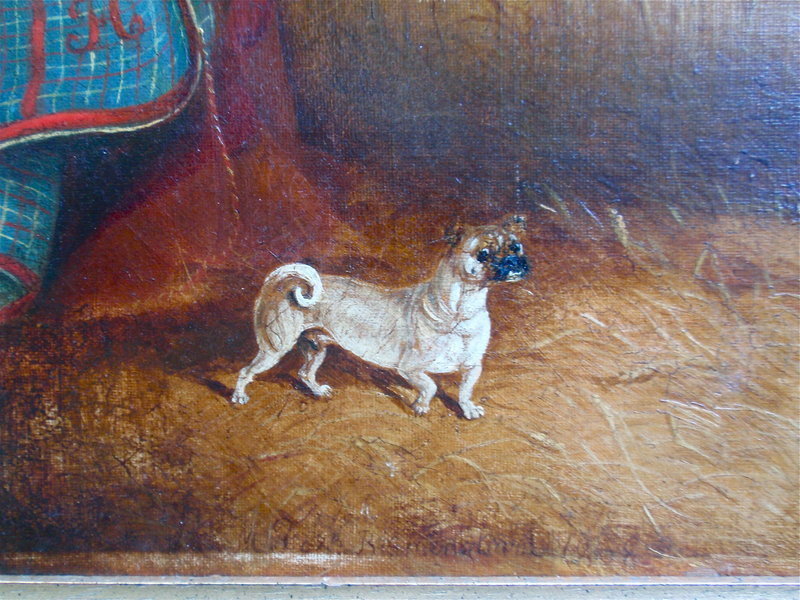 Portrait of a Horse in Stable with dog