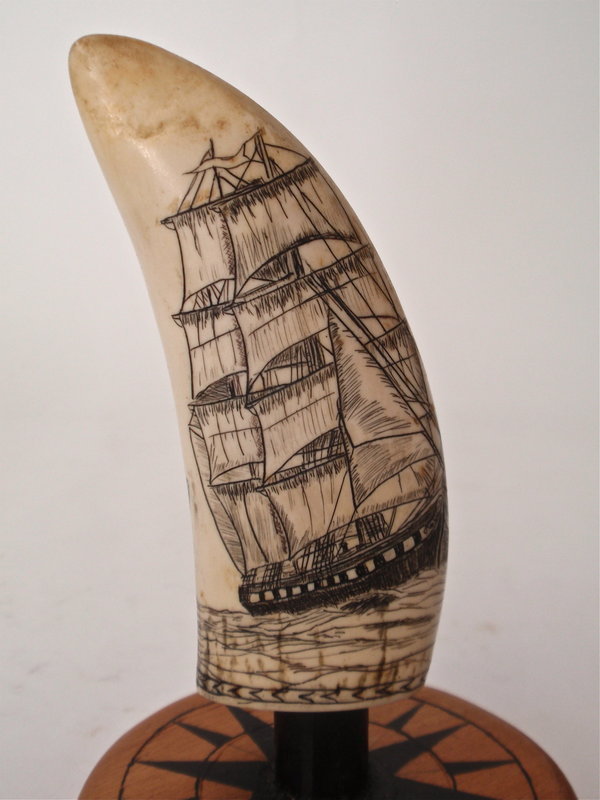 Scrimshaw Whales Tooth by Jon Laubin Sailing Ship