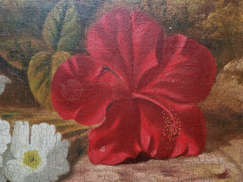 Oil Painting Chinese Hibiscus by W. Revell 1888