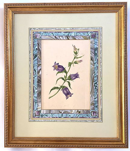 French Watercolor Botanical painting Bluebells c.1847