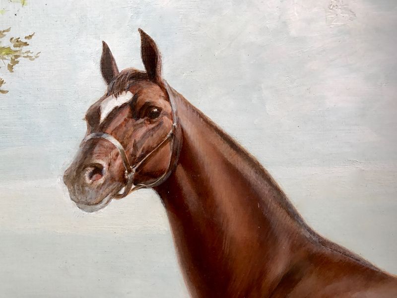 Horse Portrait Landscape by Harold Macintosh