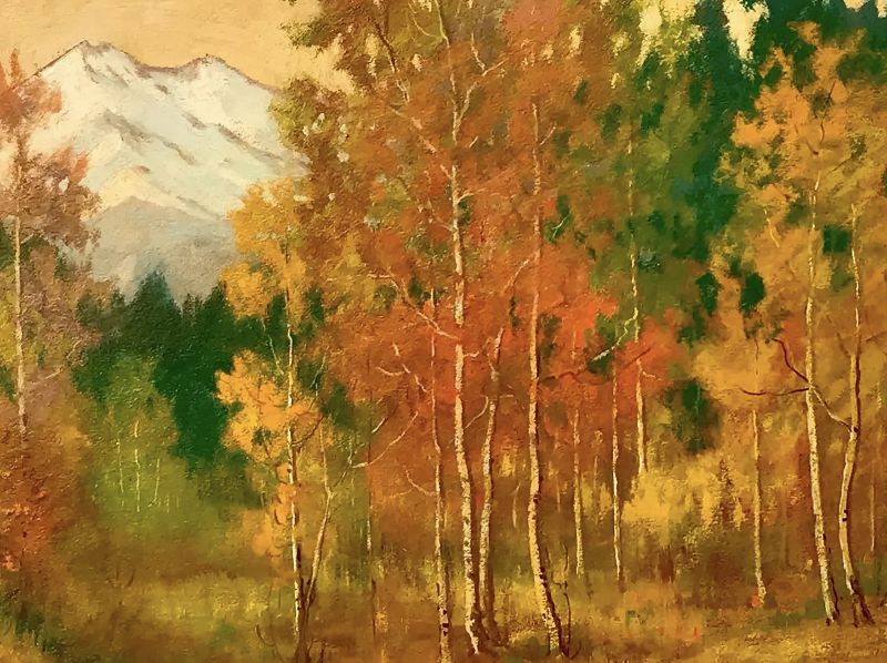 Oil Painting Colorado Aspens Estes Park Colorado by David Stirling