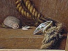Claude Buck Still life oil sea shells and rope