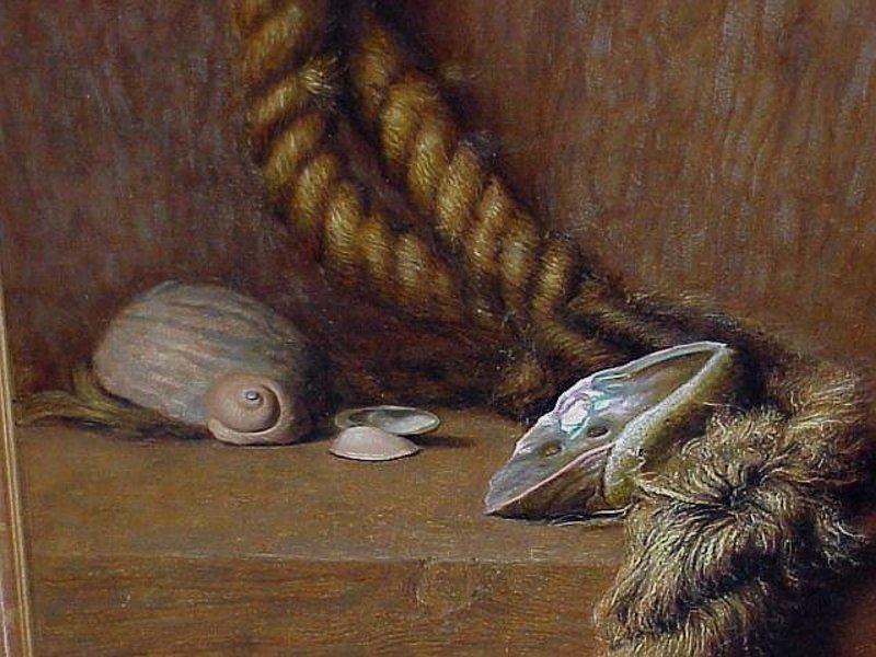 Claude Buck Still life oil sea shells and rope