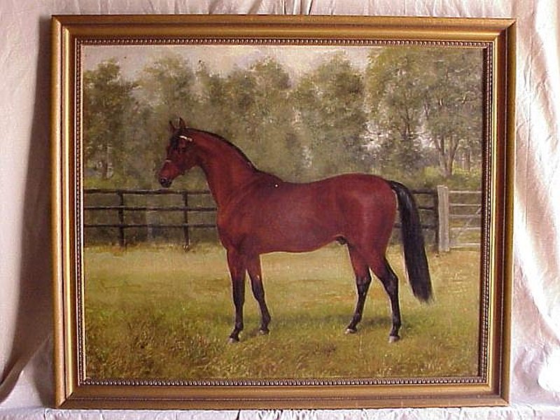 Portrait Thoroughbred Horse  Antique oil c.1890