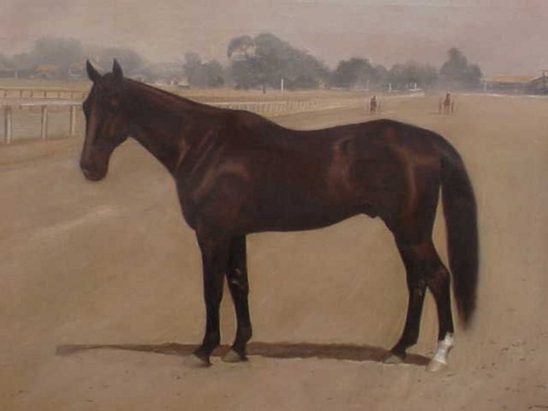 Portrait Race Horse Antique oil painting Hillyard 1894