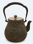 Japanese Cast Iron Relief Teapot Tetsubin for Tea Sg