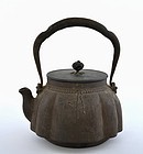 Japanese Cast Iron Kettle Teapot Tetsubin Ryubundou Sg KINRYU-DO
