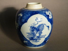 17/18th Century Chinese Prunus Jar - Kangxi (1662-1722)
