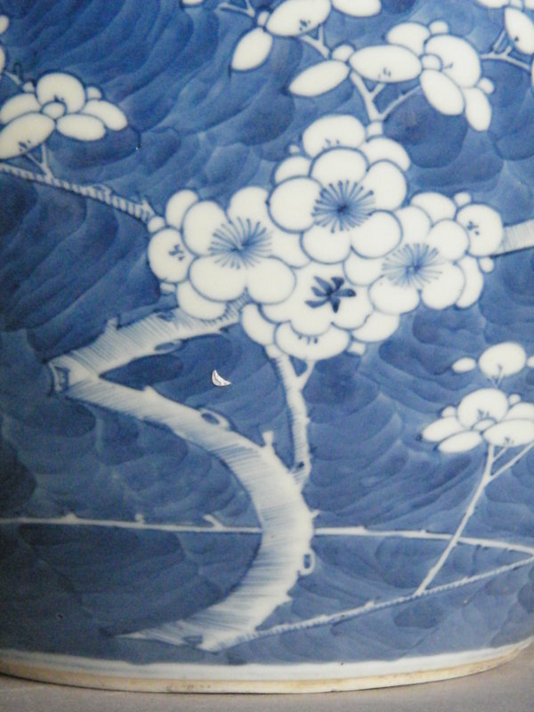 Chinese Prunus Pattern Fish Bowl - Guangxu  (1875-1908)