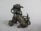 16/17th C Chinese Ming Dynasty Bronze Lion circa 1550 - 1640