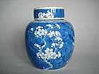 Kangxi - Style Prunus Pattern Jar & Cover - Guangxu