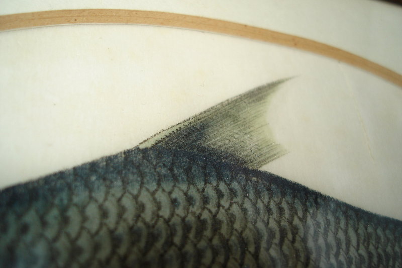 Chinese Watercolour Painting of Fish - circa 1800-1850