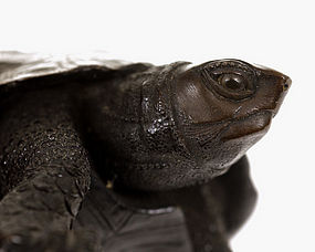 Meiji Japanese Bronze Turtle Tortoise Okimono Sg