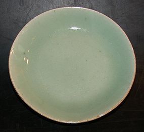 Celadon plate with Mark, 1800 - 1850