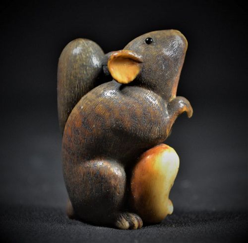 Netsuké,squirrel carved from broad tooth. Anonymous.Edo earlier 19th