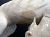 detail 11