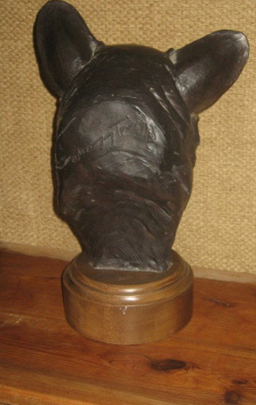 Huge Bronze Head Study Of a Corgi  MARGERY TORREY