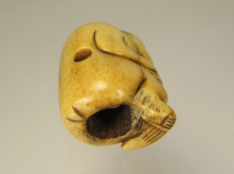 19th Century Japanese Stag Antler Netsuke, Monkey and Young