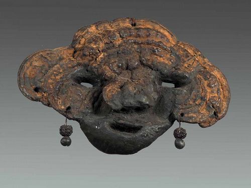 Janus Mushroon mask , Himalaya, nepal