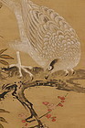 Hawk Perched on Plum Branch, Kano-ha (1834)