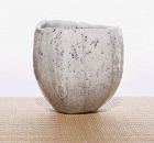 A White Tamba Tea Bowl by Masahiko Imanishi