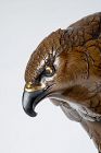 Kōmin 高民 - A Japanese bronze falcon