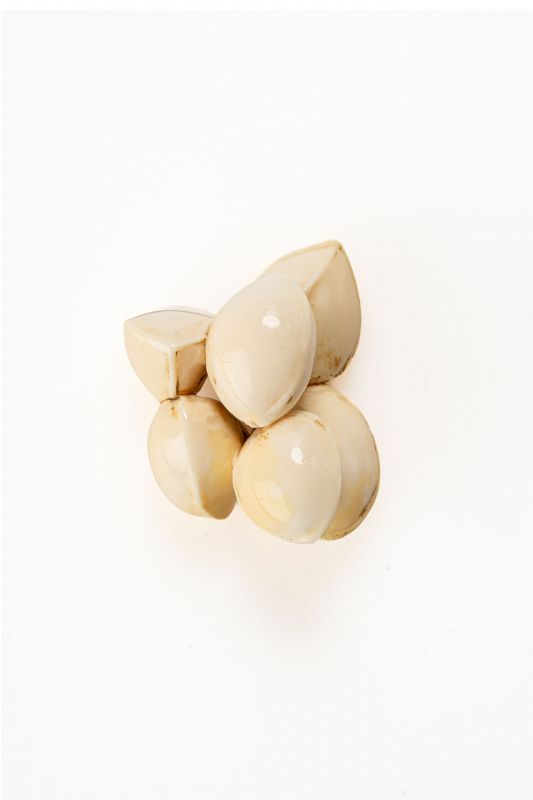 A Japanese ivory netsuke depicting six ginkgo nuts