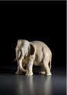 A Japanese Tokyo School ivory okimono depicting an elephant