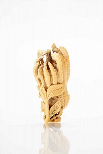 A Japanese ivory netsuke depicting Buddha's Hand