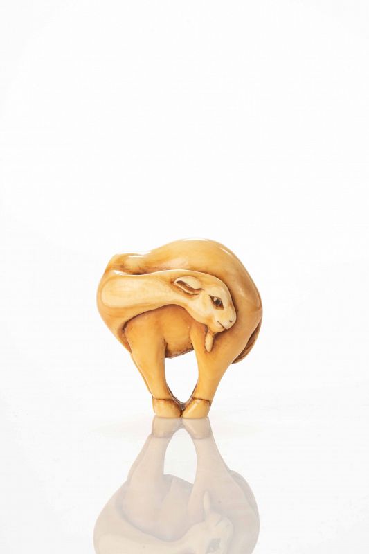 A Japanese ivory netsuke depicting a dromedary