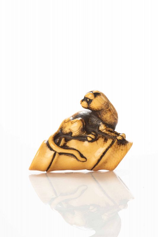 A Japanese ivory netsuke depicting a tiger lying on a bamboo