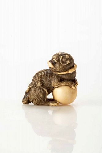 A Japanese ivory netsuke depicting a dog with a ball