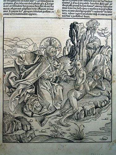 Michael Wolgemut, Creation of Eve, edited 1493 AD