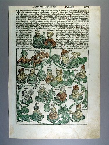 Nuremberg Chronicle, Genealogical Trees, 1493 AD
