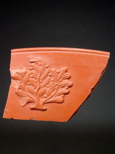 Roman Rim Fragment with Berry Bush, North Africa, 250-300 AD