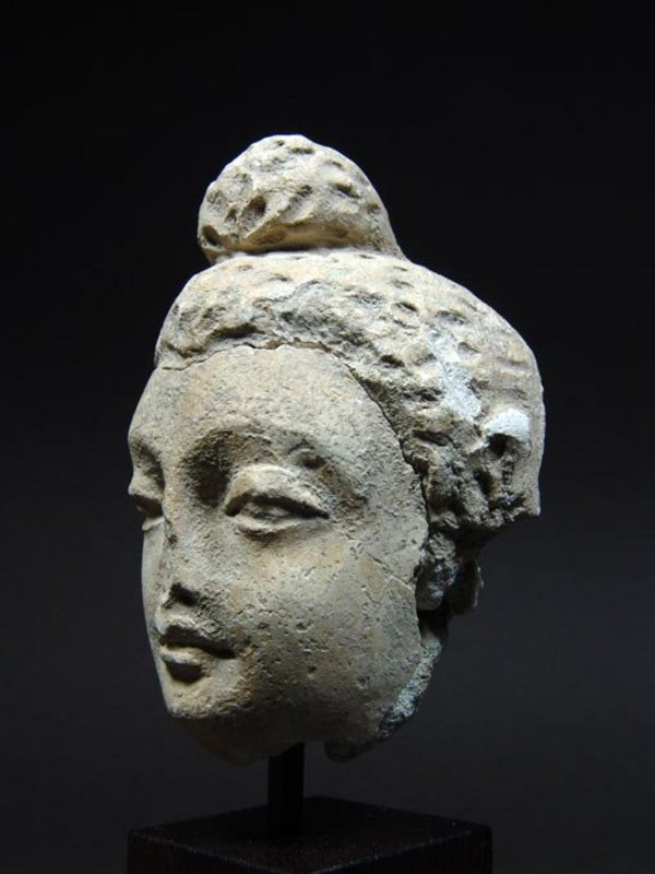 Gandhara Stucco Head of the Buddha, 3rd/4th Century AD