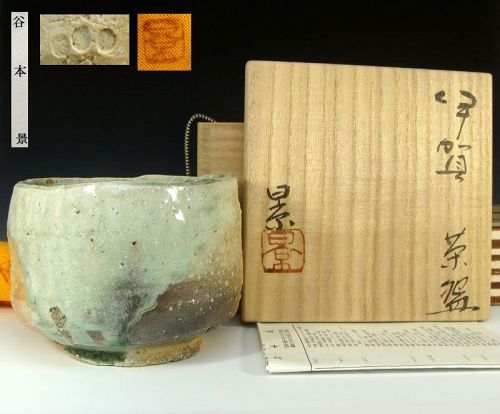 Tanimoto Kei Iga Chawan Japanese Tea Bowl, Feel the Joy!