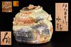 Wow! Tsujimura Shiro Melted Iga Mizusashi Must See!!!