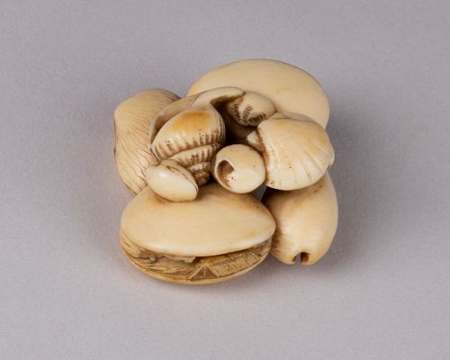 Netsuke - Conjoined Seashells, Japan Edo